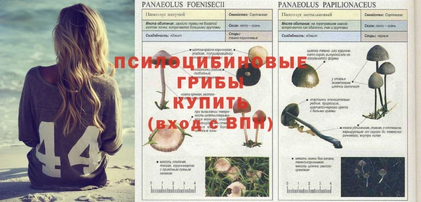 твердый Алексеевка