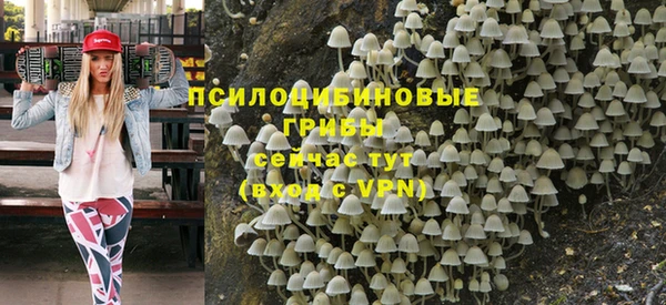 твердый Алексеевка